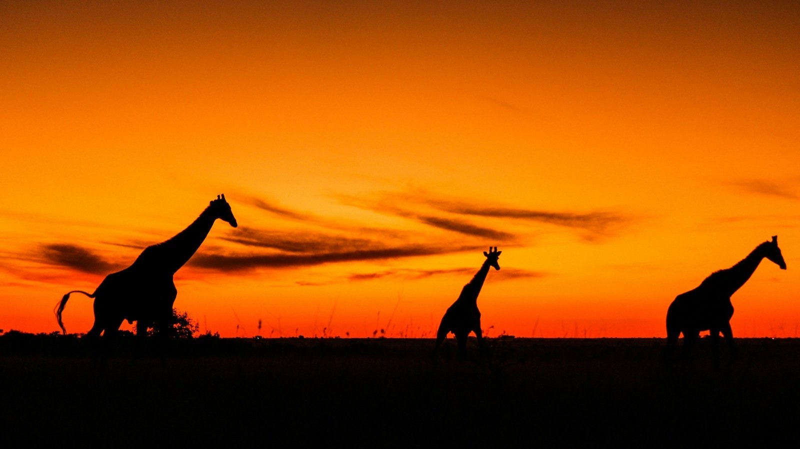 Kidepo Valley National Park