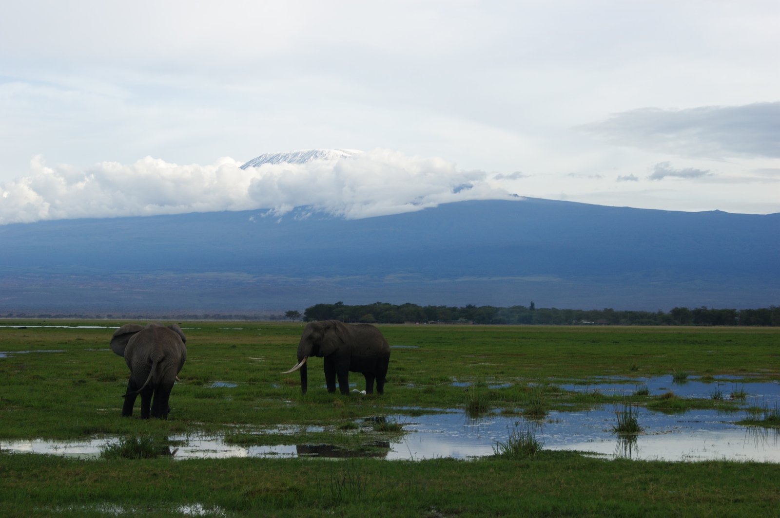 Kenya