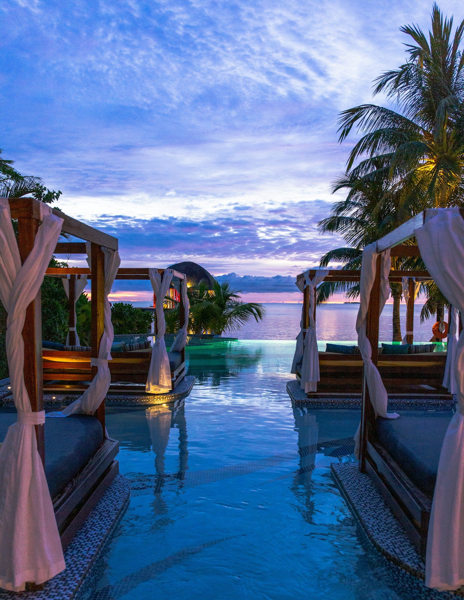 7-Day Signature Fly-In Luxury Gorilla & Savanna Safari