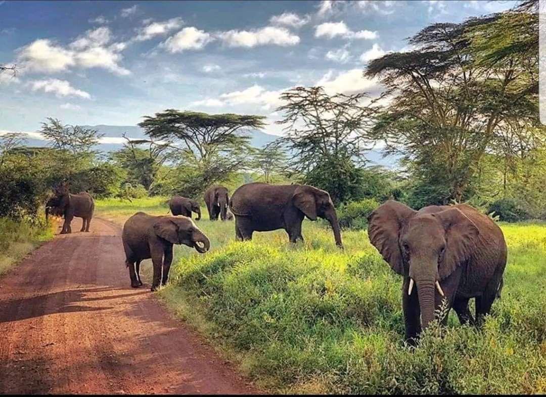 Kahuzi-Biega National Park